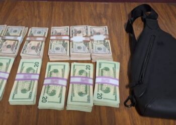 En Baja California, GN y ANAM detienen a persona con más de 56 mil dólares en efectivo y cheques sin declarar