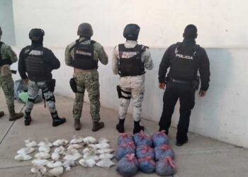 Mariguana, cristal y un rifle son halladas abandonadas en San Quintín