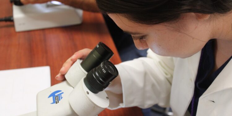 La Facultad de Veterinaria y Zootecnia de la UAS lidera esfuerzos zoosanitarios en la Expo Ganadera Sinaloa 2023