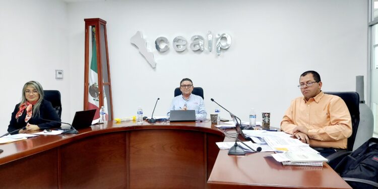 La CEAIP resolvió 30 asuntos de transparencia en la Sesión de Pleno 50 del año