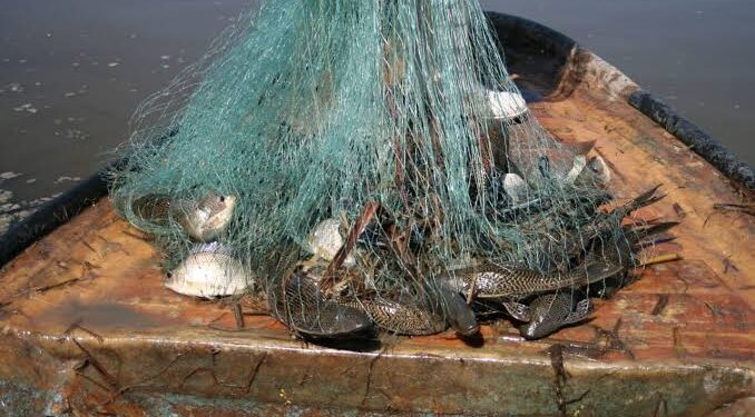 En Sinaloa el sector pesquero es incluyente y se apoyan a las mujeres: Flor Emilia Guerra