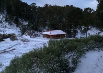 ¡Que belleza! Santa Gertrudis, Badiraguato se cubre de blanco