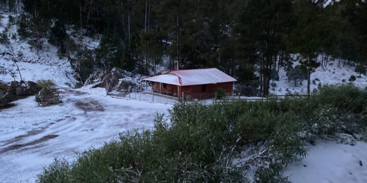 ¡Que belleza! Santa Gertrudis, Badiraguato se cubre de blanco