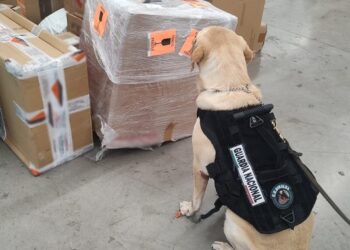 Detectan jarrón de cerámica que ocultaba paquetes con marihuana en Sinaloa