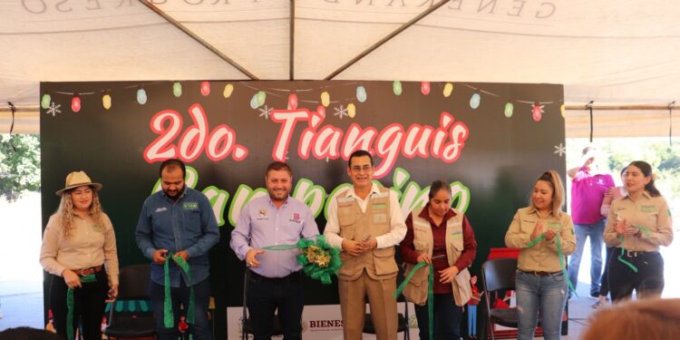 Alcalde de Badiraguato recorre el segundo Tianguis Campesino; reconoce el programa ‘Sembrando Vida’