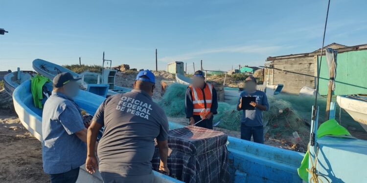 CONAPESCA retiene más de 77 mil 818 kilogramos de producto pesquero