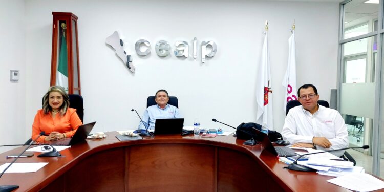 CEAIP resolvió 96 asuntos de transparencia de entidades públicas en Sesión ordinaria de Pleno número 51