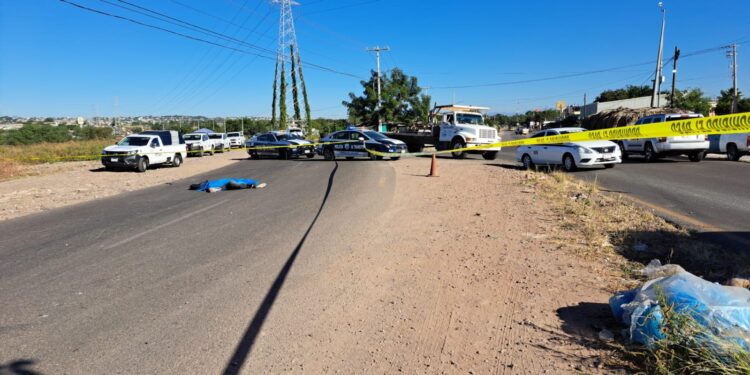 Muere pintor atropellado por un vehículo frente a La Primavera