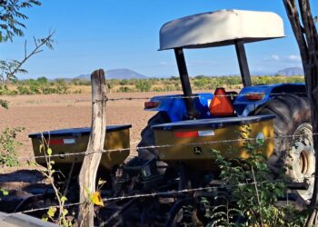 Asesinan a un agricultor cuando sembraba su parcela en Tabalá