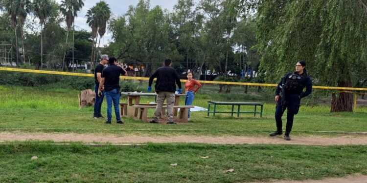 Hallan a un hombre muerto en el parque Las Riberas