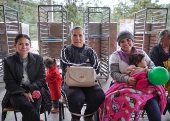 Gobierno de Rocha entrega apoyos para autoproducción de cultivos y autoempleo en el Triángulo de la Bondad