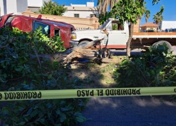 Un vendedor de ladrillos murió al ser atropellado por un automóvil frente al fraccionamiento Andalucia