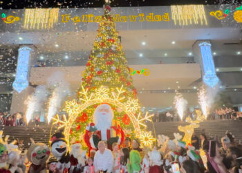 Rocha enciende arbolito navideño; “Que esté  tranquilo, al que le llegue, le llegue La Navidad”, desea en política