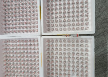 Aseguran 400 ampolletas de medicamento controlado catalogado como estupefaciente