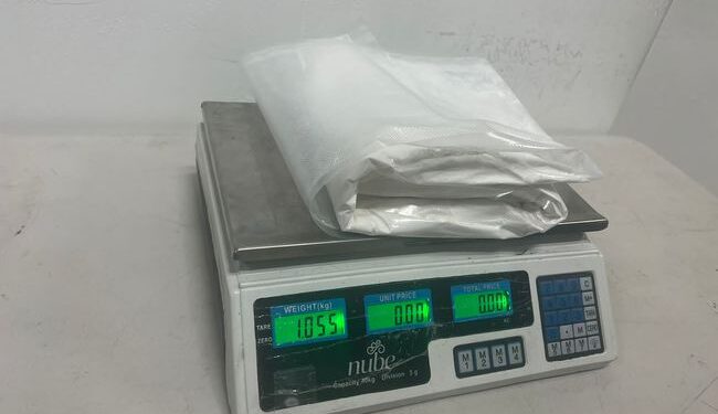 Detienen a pasajero que viajaría a Sinaloa con un paquete de cocaína adherido al cuerpo