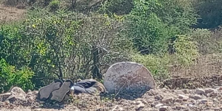 Hallan ejecutado a balazos a un joven en Sanalona