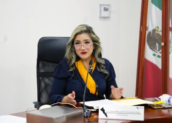Liliana Campuzano Vega, nueva comisionada presidenta de Ceaip