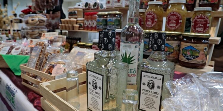 Sembrando Vida viene a darle empleos dignos a las personas: María Inés Pérez Corral