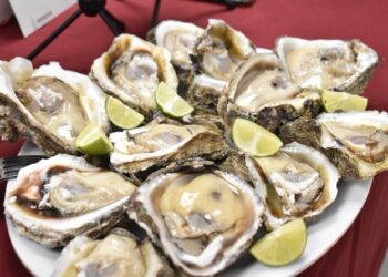 ¡Vámonos a la Feria del Ostión 2024 en Celestino Gasca!