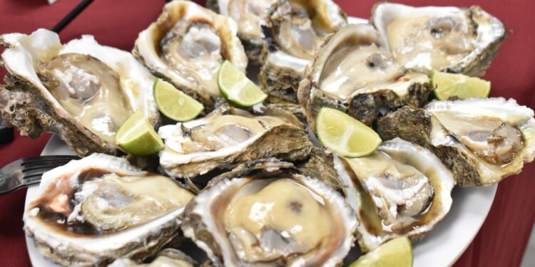 ¡Vámonos a la Feria del Ostión 2024 en Celestino Gasca!