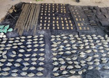 Guardia Nacional asegura 7 armas largas, 2,353 cartuchos útiles y 21 cargadores en Jalisco