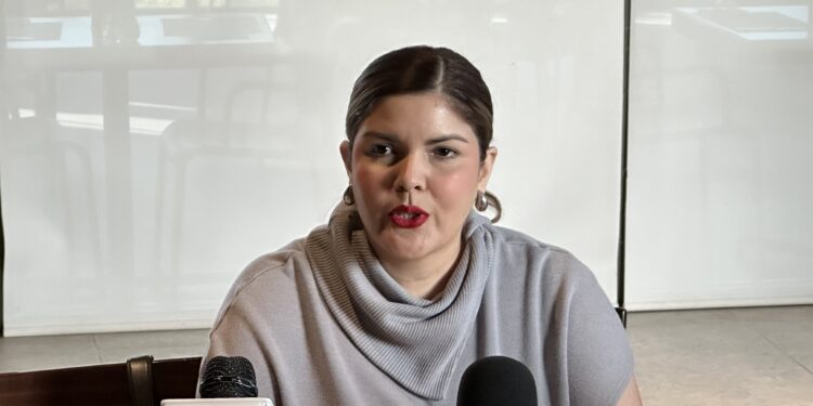 Habrá cambios en la lista de candidatos, pero no se disuelve alianza con el PT y Verde: Merary Villegas