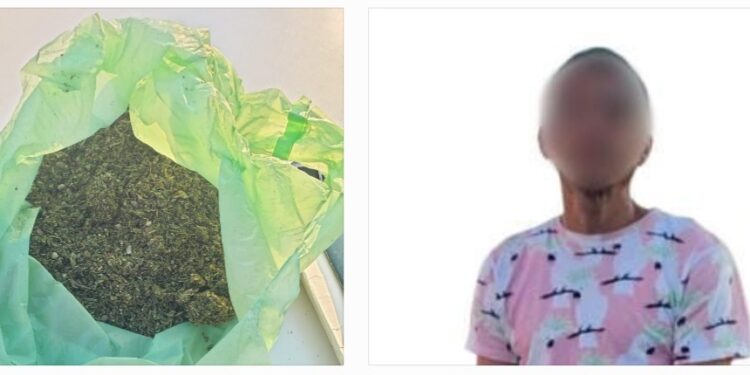 Civil es asegurado por Policías Estatales tras intentar huir; había droga en el vehículo del que descendió