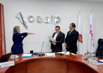 Liliana Campuzano Vega es la nueva presidenta de CEAIP
