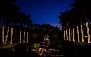 Logra FGE sentencia de 10 años de prisión contra Edgar ”A”