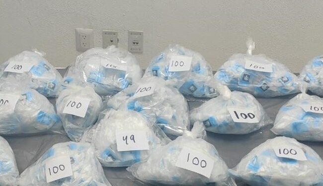 Asegura GN mil 557 dosis cristal y de marihuana en Nayarit