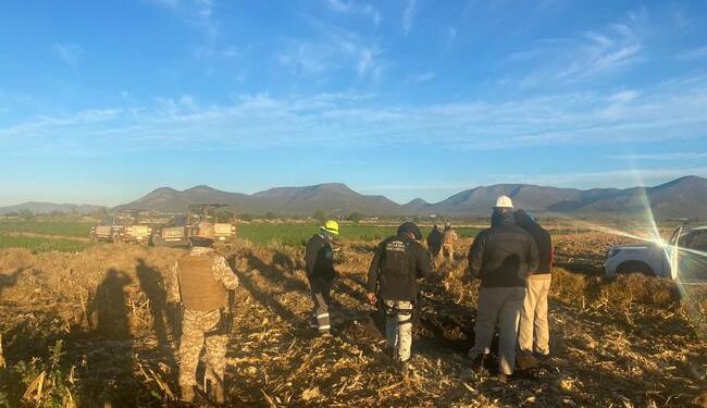 Localizan e inhabilitan 10 tomas clandestinas para sustracción ilegal de combustible en Hidalgo