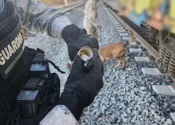 GN y Ejército localizan tubos rellenos con metanfetamina a un costado de las vías del ferrocarril en Sonora