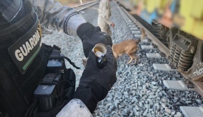 GN y Ejército localizan tubos rellenos con metanfetamina a un costado de las vías del ferrocarril en Sonora