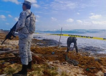 Flota entre el sargazo paquetes con cocaína en playa de Cozumel
