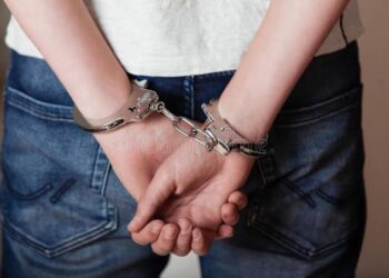 Ejecutan orden de aprehensión a sujeto por homicidio de Pedro “S” en Guasave