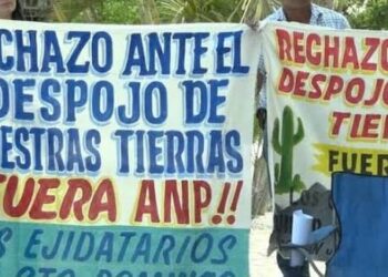 Las 43 Áreas Naturales Protegidas de la 4T sin programas de manejo: AZCARM