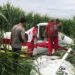 Se desploma avioneta fumigadora en Costa Rica