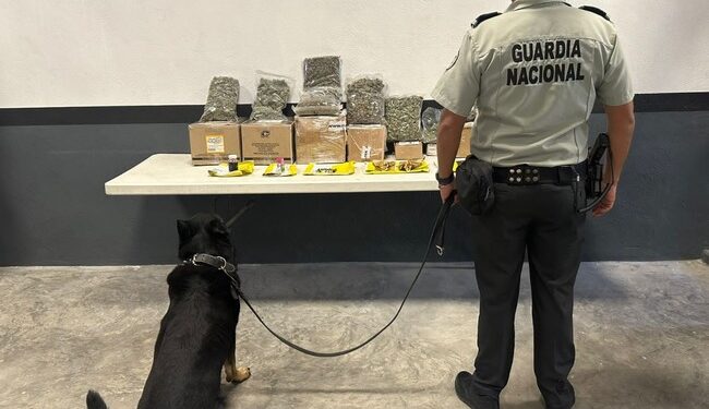 GN asegura 13 kilos de droga sintética cristal y detecta 13 envíos con aparente marihuana