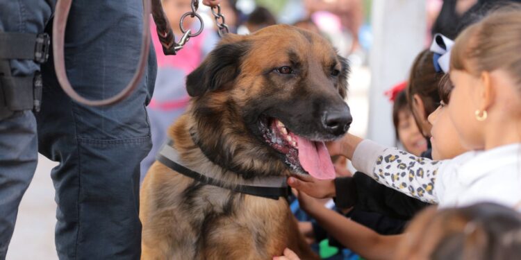 Alumnos y alumnas de primaria y preescolar disfrutaron de “Un día con tu Gobierno” en Costa Rica, programa de la SSP Sinaloa