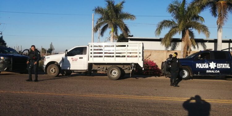 Hasta al DIF le robaron una camioneta