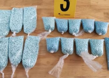 El fentanilo es el veneno de estos tiempos: Embajador de EU en México