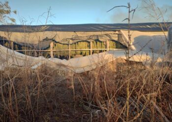 Ejército Mexicano destruye dos toneladas de posible mariguana en Elota