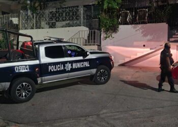 Atacan a balazos albergue de perros en la 5 de Mayo