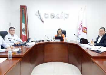 Persona recurrente expuso datos personales de menores, CEAIP lo advierte y protege la información