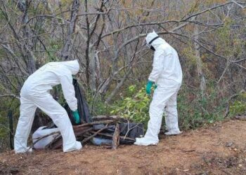 Aseguran 7 bidones con 350 litros de metanfetamina líquida en Culiacán
