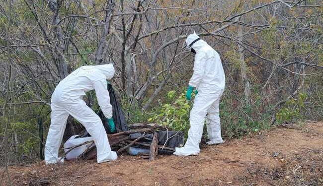 Aseguran 7 bidones con 350 litros de metanfetamina líquida en Culiacán