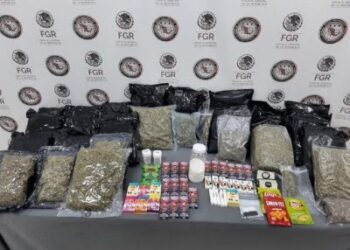 FGR asegura gomitas y papitas hechas con mariguana en Nuevo León