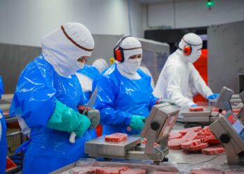 Sinaloa lidera el crecimiento laboral en México durante febrero