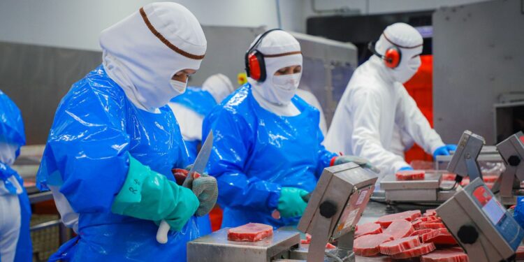 Sinaloa lidera el crecimiento laboral en México durante febrero