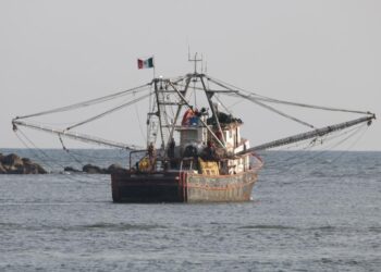 Conapesca confirmó que a las 00:00 horas del 20 de marzo iniciará la veda del camarón en el Océano Pacífico